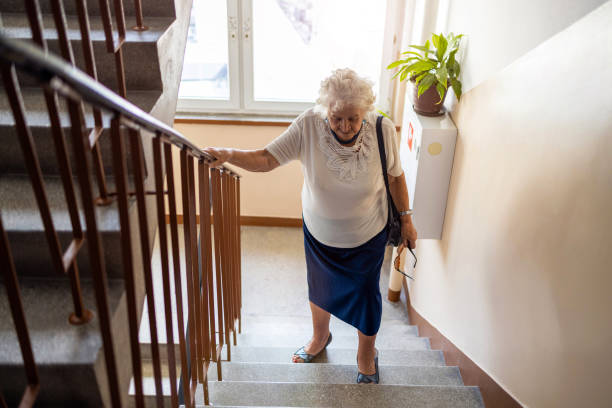 Fall Risk Factors in the Elderly