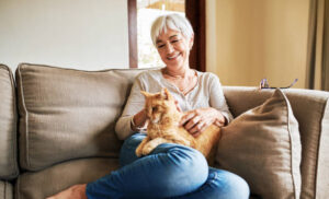 Best Pets For Seniors