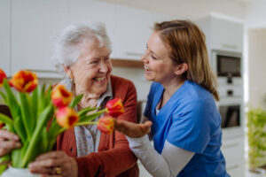 National Family Caregiver Support Program