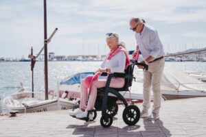 Elderly Mobility Scale (EMS) Protocol