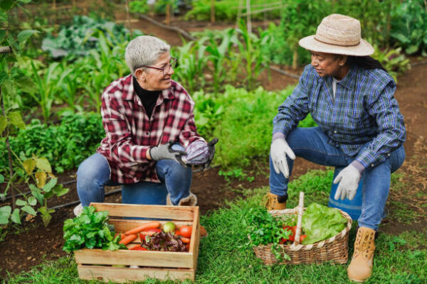 Activities for the Elderly