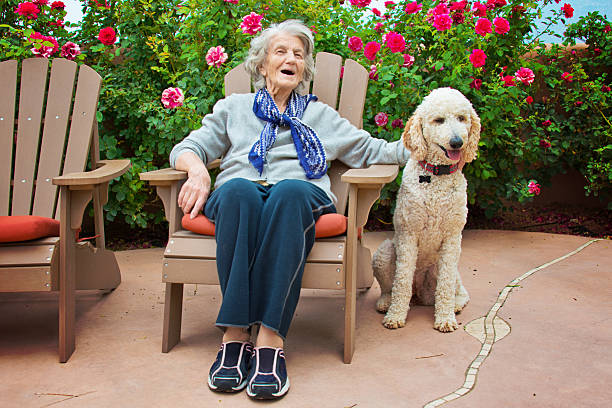 Worst Dog Breeds for Seniors